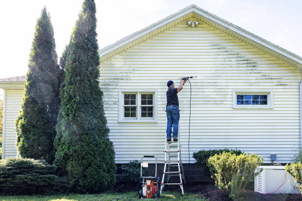 Best Patio and Deck Pressure Washing  in North Catasauqua, PA